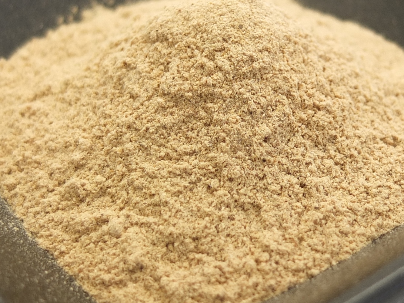 焼椎茸パウダー