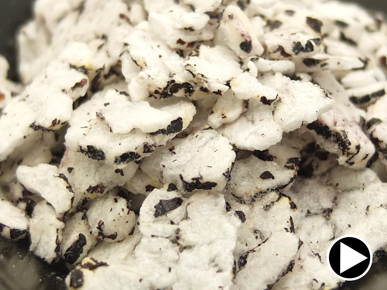 焼黒米フレーク